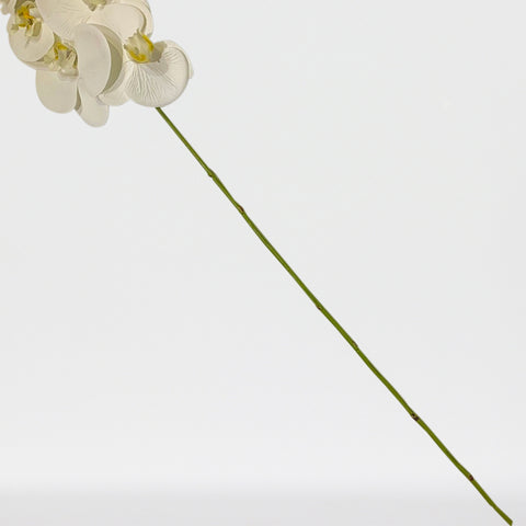 Tige de phalaenopsis artificielle Real Touch
