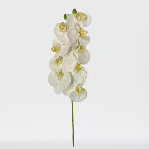 Tige de phalaenopsis artificielle Real Touch