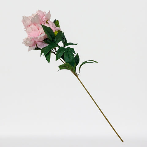 Peony Sprayx3F, 29in-12P/96/9.89'