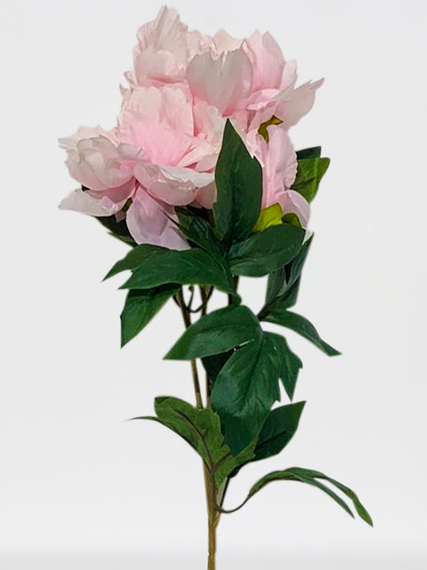 Peony Sprayx3F, 29in-12P/96/9.89'