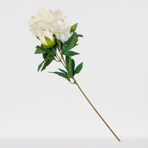 Peony Sprayx3F, 29in-12P/96/9.89'