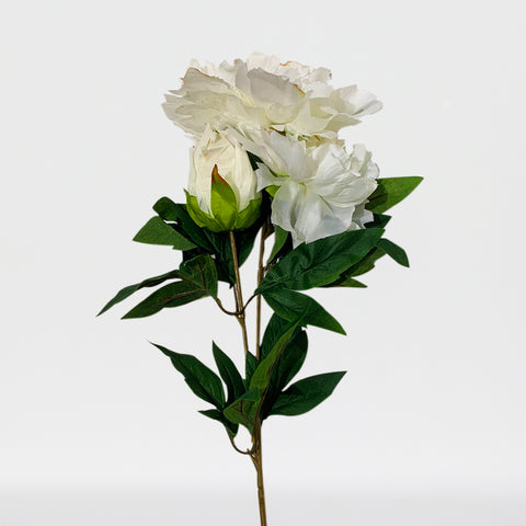 Peony Sprayx3F, 29in-12P/96/9.89'