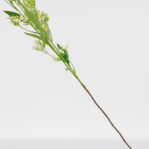 Daphne Sprayx3,42.5In-12P