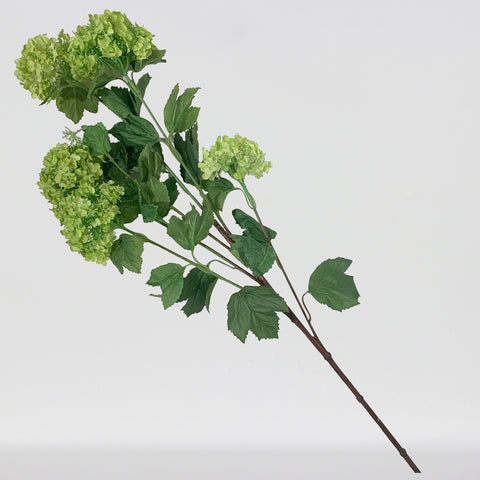 CHOIX VERT