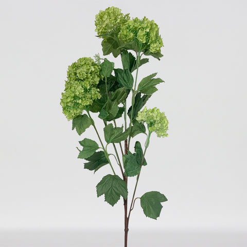CHOIX VERT