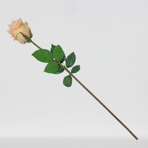 TIGE DE ROSE FRAICHEMENT TOUCHÉE 25" JAUNE