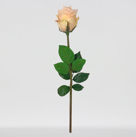 TIGE DE ROSE FRAICHEMENT TOUCHÉE 25" JAUNE
