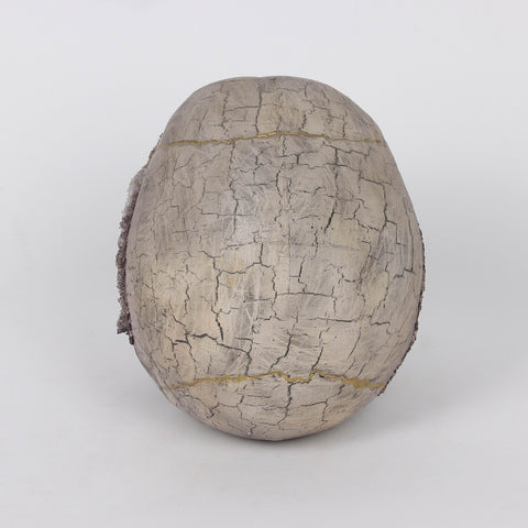 5.0*7.25*6.25''Resin Skull Decoration