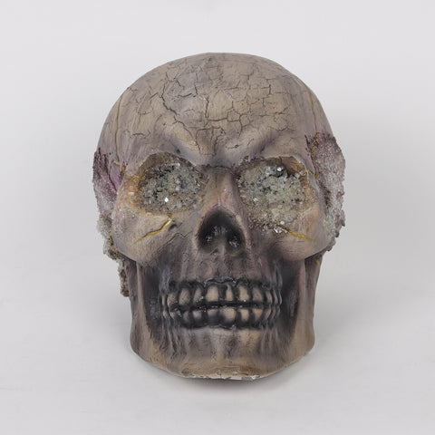 5.0*7.25*6.25''Resin Skull Decoration