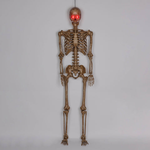 5ft Prelit Skeleton Halloween Prop | Light-Up Spooky Decoration | Outdoor & Indoor