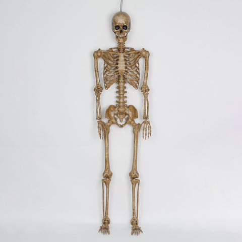 5Ft Prelit Skeleton