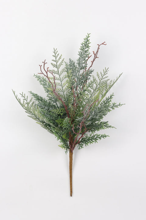 Cypress Bush