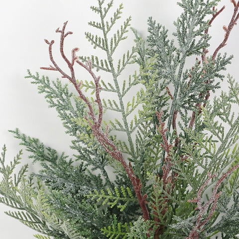 Cypress Bush