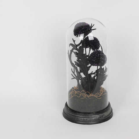 6.25*6.25*12.5''Black Tree Table Décor W/Transparent Cover