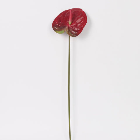 Artificial Dark Red Anthurium Stem for Wedding & Home Decor