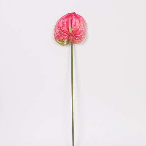 Artificial Pink Anthurium Stem for Wedding & Home Decor