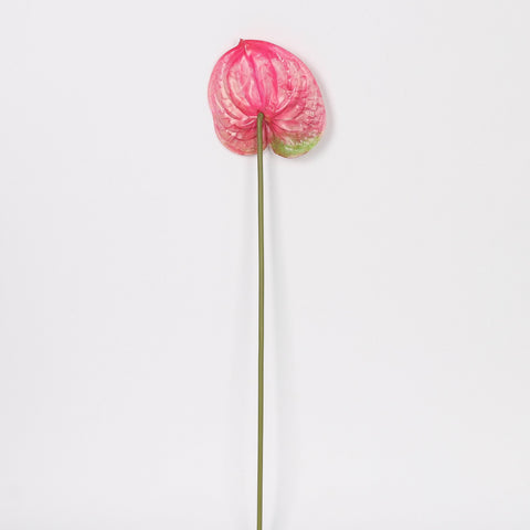Artificial Pink Anthurium Stem for Wedding & Home Decor