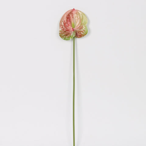 Artificial Light Pink & Green Anthurium Lily Flowers for Wedding & Event Centerpieces