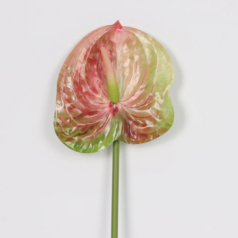 Artificial Light Pink & Green Anthurium Lily Flowers for Wedding & Event Centerpieces