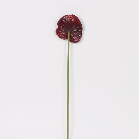 Artificial Dark Violet Anthurium Lily Flowers for Wedding & Event Centerpieces