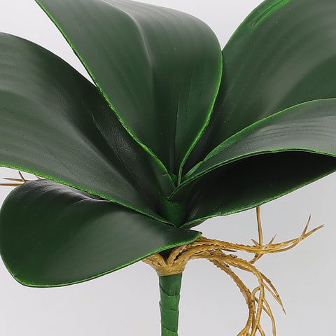 Artificial Green Large Orchid Leaves for Floral Arrangements & Home Decor