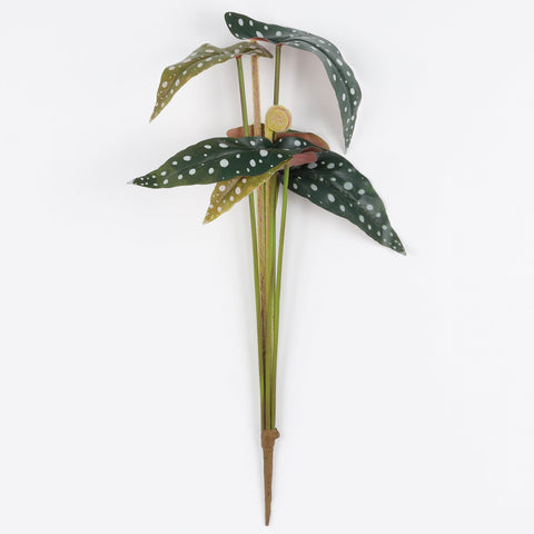 Artificial Bunch of Eight Begonia Leaves for Floral Arrangements & Home Decor
