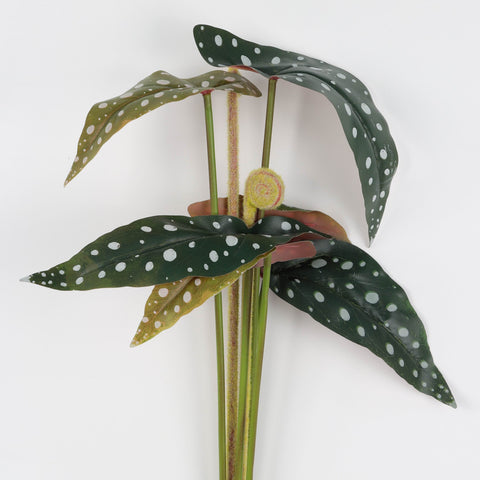 Artificial Bunch of Eight Begonia Leaves for Floral Arrangements & Home Decor