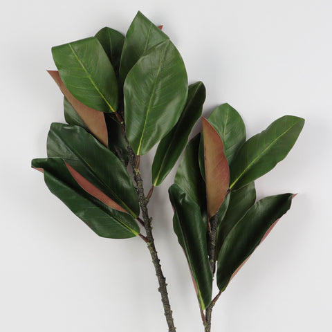 Artificial Magnolia Leaves Pick for Floral Arrangements & Home Decor