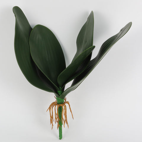 Artificial Green Five Large Orchid Leaves for Floral Arrangements & Home Decor