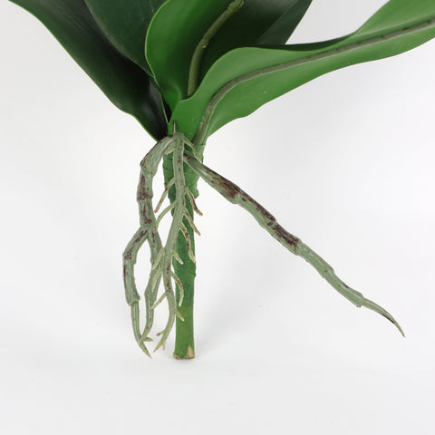 Artificial Five Big Green Phalaenopsis Leaves for Floral Arrangements & Home Decor