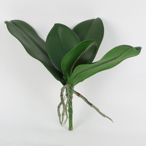 Artificial Five Big Green Phalaenopsis Leaves for Floral Arrangements & Home Decor