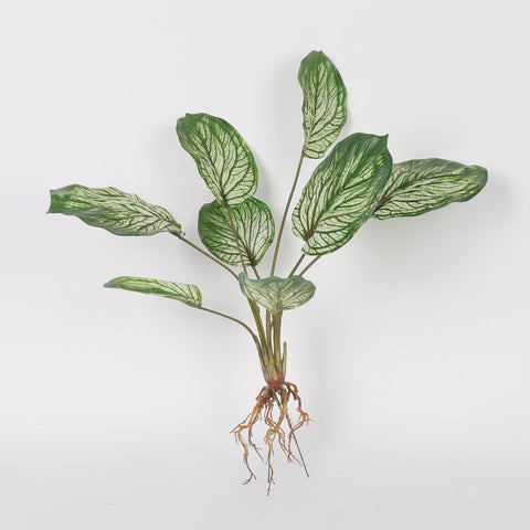Faux Calathea Plant with Fibrous Roots for Home Decor & Floral Arrangements
