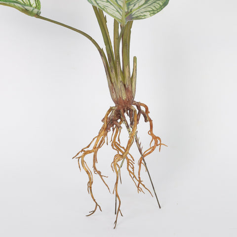 Faux Calathea Plant with Fibrous Roots for Home Decor & Floral Arrangements