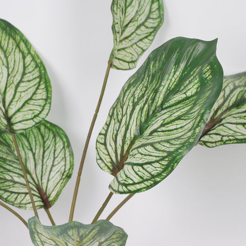 Faux Calathea Plant with Fibrous Roots for Home Decor & Floral Arrangements