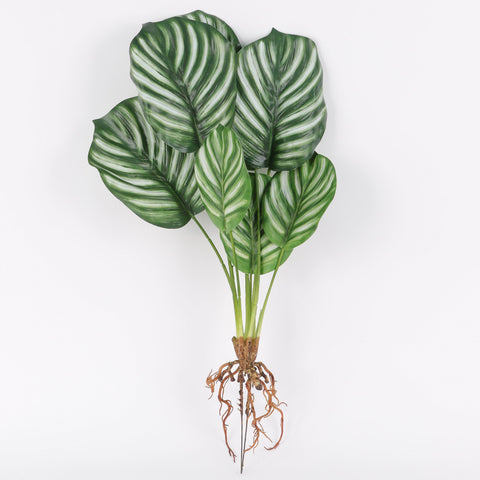 Realistic Faux Calathea Plant with Fibrous Roots for Home Decor & Floral Arrangements