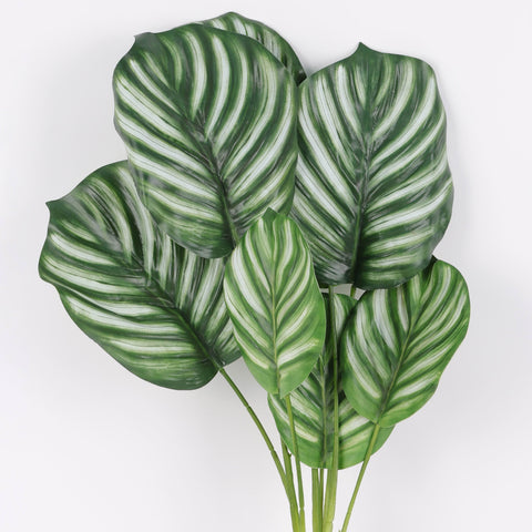 Realistic Faux Calathea Plant with Fibrous Roots for Home Decor & Floral Arrangements