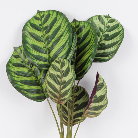 Realistic Faux Calathea Plant with Fibrous Roots for Home Decor & Floral Arrangements