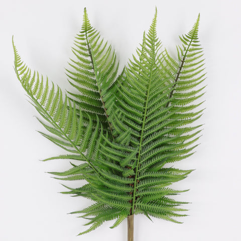 Artificial Green Cyatheaceae for Floral Arrangements & Home Decor