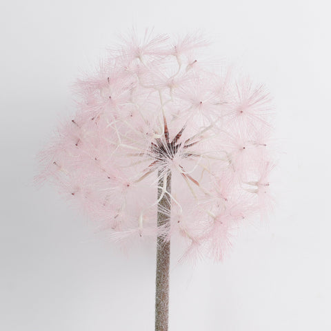 Artificial Pink Dandelion Flower Pick for Event & Wedding Home Decor