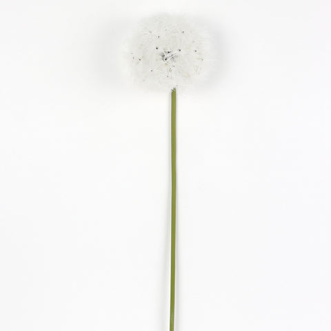 Artificial White Small Dandelion for Wedding & Event Floral Arrangements & Home Decor