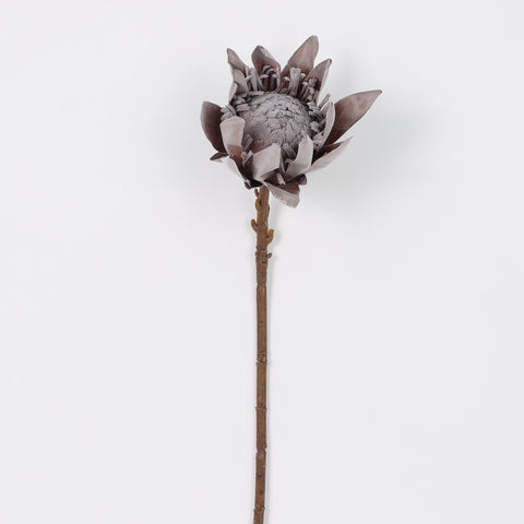 Dried KING Protea Artificial Floral Pick for Boho Weddings & Home Decor