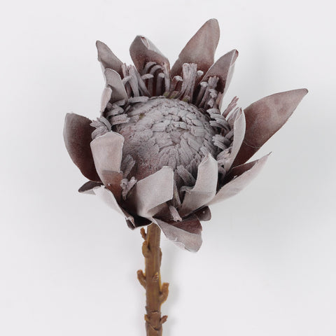 Dried KING Protea Artificial Floral Pick for Boho Weddings & Home Decor