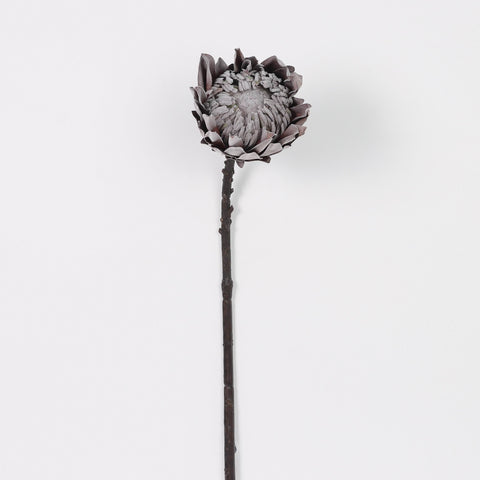 Dried KING Protea Artificial Floral Pick for Boho Weddings & Home Decor