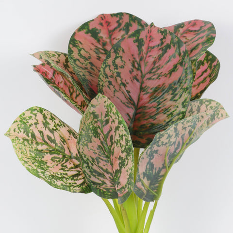 Realistic Faux Calathea Plant with Fibrous Roots for Home Decor & Floral Arrangements