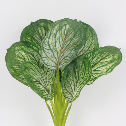 Realistic Faux Calathea Plant  for Home Decor & Floral Arrangements