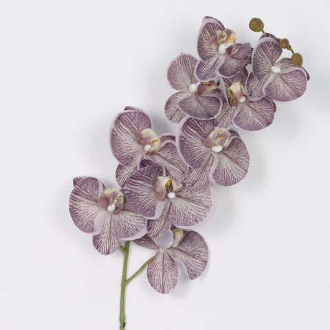 Large Butterfly Orchid Branch – Purple Violet Artificial Silk Flower for Home Decoration