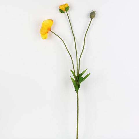 Flower Pick