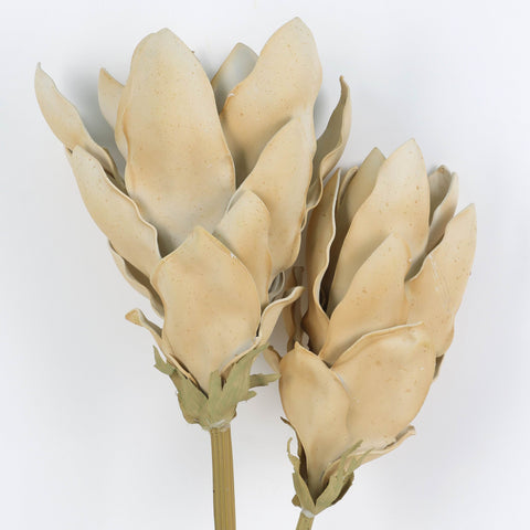 Haste Protea – Artificial Protea Flower Stem for Home Décor & Floral Arrangements