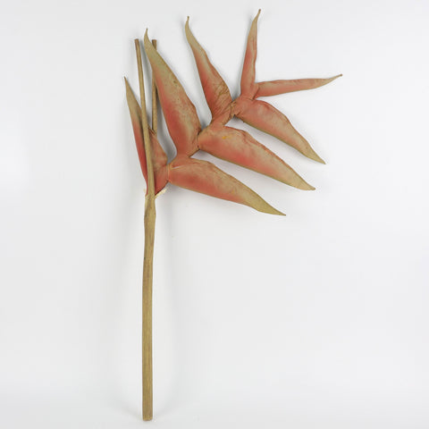 Flower Pick