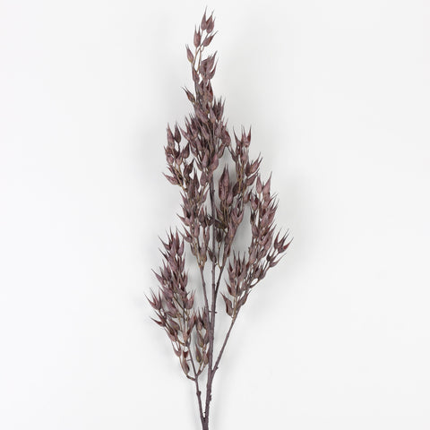 Artificial Dried Grass – Faux Floral Stems for Home & Event Décor